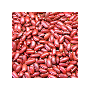 Haricots rouges britanniques de forme longue de haricot rouge foncé séché en gros pour l'exportation - Product Image 5