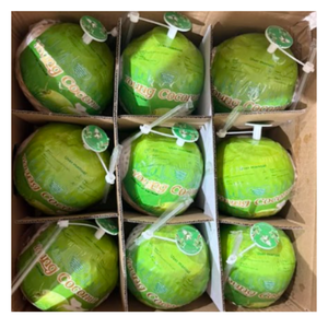 Noix de coco naturelle avec bouchon facile à ouvrir, qualité supérieure du Vietnam - Product Image 3