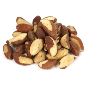 Nueces de Brasil Enteras 100% Naturales y Orgánicas de Primera Calidad, Calidad Original Pura para Uso Alimentario, Venta al por Mayor - Product Image 3