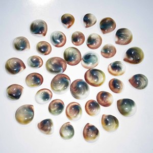 Shiva ธรรมชาติตาอัญมณีหลวม Cabochon อัญมณีหลวมขายส่งจำนวนมากผสมรูปร่างและ sheye พลอยดีสำหรับการทำเครื่องประดับ - Product Image 5