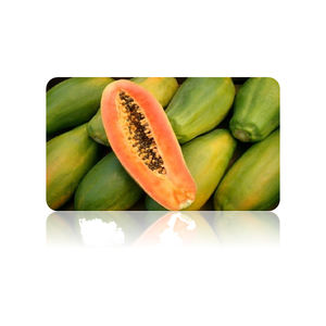 Papaya Orgánica Cultivada en Granja, Fruta Fresca, Dulce y Aromática, Calidad Premium, Venta al por Mayor, Exportación a Granel - Product Image 4