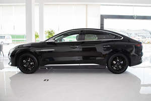 E9 2025 Luxury Edition <b>Electric</b> Mid-Size Sedan 506KM CLTC Range 135kW <b>Motor</b> 60kWh LFP Battery Automatic Transmission - Product Image 4