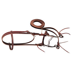 Latigo Leather Brow Band Brida Caballo Color Borgoña Pantalones Calidad Premium Tachuela ecuestre Hebilla de una sola mejilla Ajustable - Product Image 4