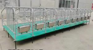 Cama de entrega de animales mejorada de nueva condición para jaula de cerdas para equipo de granja de parto de cerdas para cría de animales - Product Image 5