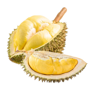 เยื่อทุเรียนแช่แข็งแบบพรีเมี่ยมจากเวียดนามสินค้าขายดีทุเรียนแบบหวานสำหรับการส่งออก/นางสาวเจสซี่ - Product Image 1