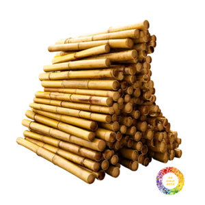 Venta al por mayor de tubos de bambú natural de Vietnam: rectos, secos y tratados para uso a largo plazo en interiores y exteriores - Product Image 6