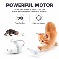 Jouet interactif électronique automatique pour chat et chaton, souris magique roulante, rechargeable par USB, LED, OEM, vente en gros