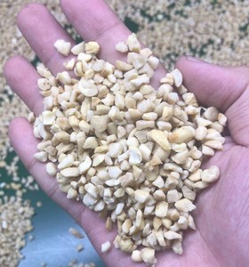 Noix de cajou de qualité supérieure fraîchement récoltées du Vietnam, cultivées naturellement, nutritives, soigneusement transformées, ingrédients bruts, 20 kg - Product Image 3