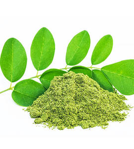 Hot export Moringa powder es un suplemento de salud altamente nutritivo y popular derivado de las hojas de la Moringa oleife - Product Image 4