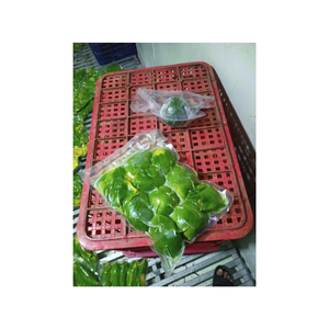 100 Percent Natural Frozen Avocado Puree Made from Fresh Ripe Fruits Processed in Vietnam Suitable for Baby <b>Food</b> - Product Image 5