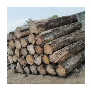 Troncos de madera Sapele al por mayor, de alta calidad - Product Image 4