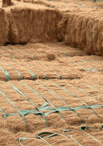 Fibra de Coco de Alta Calidad y Buen Precio en Vietnam/ Precio de la Fibra de Coco/ Cepillo de Fibra de Coco - Product Image 6