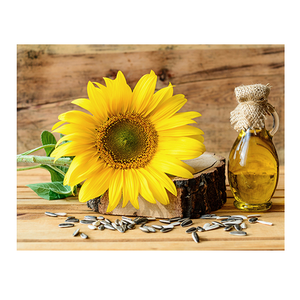 Fabricant d'huiles végétales comestibles naturelles en vrac | Vente en gros d'huile de tournesol d'Ukraine pour la cuisson | Raffiné | Sans OGM | Prix bon marché | Kg - Product Image 6