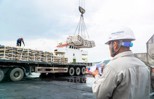 Cemento Portland gris TIPO V de fábrica en Vietnam, precio barato, tiempo de fraguado rápido y embalaje de 40kg y 50kg, uso para albañilería - Product Image 2