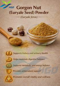 Suministro Directo de Fábrica HGO de Polvo de Nuez de Gorgona (Semilla de Euryale) Puro y Natural, Especificación de Grado Alimenticio, Extracto en Proporción 5:1 10:1 20:1 - Product Image 3