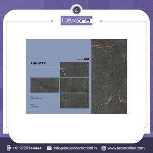 Offre Spéciale Carreaux de sol en marbre pour la maison moderne de haute qualité 800x1200mm Carreaux de sol peu coûteux en porcelaine de grande taille - Product Image 2