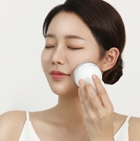 THEMAQUEEN Snowman Cooler Cooling Stick, bâton de refroidissement pour le visage, glace apaisante, outil manuel en aluminium et ABS pour raffermir la peau et réduire les poches, K-Beauty OEM/ODM