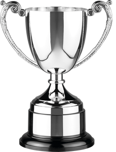 Coupe de trophée de cricket en métal de luxe pour le championnat, récompense, événement sportif, objet commémoratif - Product Image 5