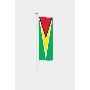 Drapeau vertical de la Guyane personnalisable 3x5 pieds avec impression numérique, mât en aluminium pour usage extérieur avec logo personnalisé - Product Image 1