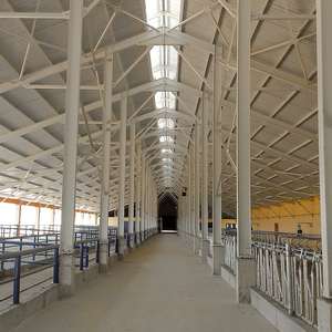 Estructura de acero prefabricada para granja de ganado y aves de corral, marco de viga H galvanizado para almacén de taller industrial - Product Image 1