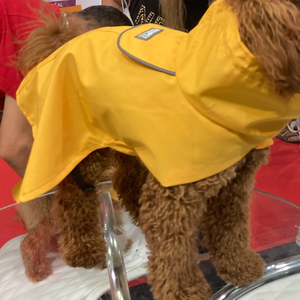 Nuevos chubasqueros para perros 2025 PET amarillo XL estilo deportivo patrón de animales chaqueta de lluvia ropa y accesorios para perros grandes - Product Image 2