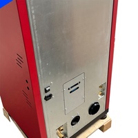 Chauffe-eau automatique à biomasse, 24 kw, chauffage Central de l'eau, chaudière à granulés, réservoir, brûleur à granulés