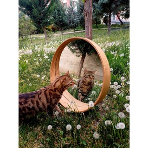 Espejo redondo de madera Espejo de pared natural, Espejo con marco de madera, Espejo circular, Espejo de madera real, Espejo de mediados de siglo - Product Image 2