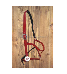 Cabestro de caballo de PVC de alta calidad con relleno negro Productos de caballo de buena calidad - Product Image 2