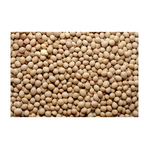 Vente en gros de soja jaune biologique de haute qualité sans OGM soja délicieux vente par fournisseur en gros - Product Image 1