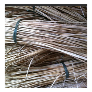 Bastón de mimbre de Vietnam ecológico, material respetuoso con el medio ambiente para tejer y fábricas de muebles - Product Image 3