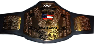 Cinturones de campeonato de lucha libre Trofeos Medallas y premios el símbolo definitivo de Victoria y excelencia Cinturones de Campeonato - Product Image 5