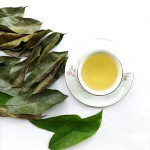 El precio más barato, hojas secas de Graviola con hoja de Guanábana seca de excelente calidad de Vietnam para exportación - Product Image 4