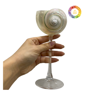 Exotic Shell Cup Barware unique fait à la main aspect naturel parfait pour les boissons hôtels et événements approvisionnement - Product Image 3
