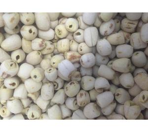 เมล็ดบัวสีขาวเมล็ดบัวได้รับการสนับสนุนจากโรงงานการจัดหาเพื่อรักษาคุณภาพสม่ำเสมอ - Product Image 5