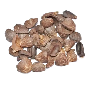 Noyaux de palme de haute qualité pour la fabrication de charbon de bois et de charbon actif, pureté 100%, origine DK, marque personnalisée - Product Image 6