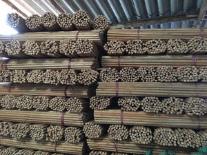 MANGOS DE ESCOBA DE MADERA ROBUSTOS Y SOSTENIBLES/BELLEZA ARTESANAL/ELECCIÓN ASEQUIBLE/HECHO EN VIETNAM - Product Image 5