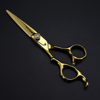 Kit professionnel de ciseaux de coiffeur enduits de couleur or ensemble de coiffure de coupe et d'amincissement de cheveux de salon de 2 pièces