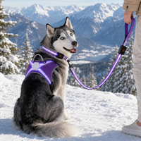 Harnais pour chien Qcool anti-traction réglable avec LED, laisse en nylon, logo personnalisé OEM, équipement de marche réfléchissant pour la sécurité nocturne des animaux de compagnie