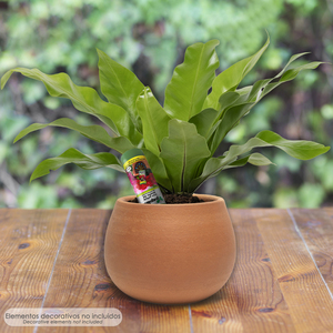 Acqua Gelificata per Irrigazione con Dispenser 300 ml. - Product Image 5