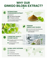 Ginkgo Biloba Extrakt Pulver 24% Flavonol-Glykoside 6% Terpen-Lactone USA EU Lager Premium-Qualität Kräuterextrakt