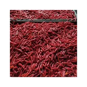 Großhandel Frozen Cryo-Preserved Red Chilli IQF Chillies erfreut Gewürze für kulinarische Exzellenz No Chemical Vietnam