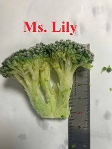 Brocoli surgelé IQF de haute qualité, emballé sous vide, durée de conservation de 12 mois, pour la restauration et la vente au détail - Mme Lily - Product Image 2