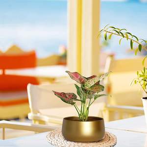 Macetas Metálicas para Plantas de Interior, Macetas para Flores para Decoración del Hogar, Oficina y Jardín - Product Image 4