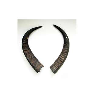 Pareja de cuernos de búfalo - Product Image 2
