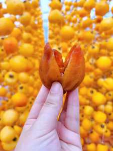 BEST QUALITY Dried Persimmon - Exported from Vietnam, Suitable for Bulk Orders, Retail Packs or <b>Gift</b> <b>Boxes</b> - Product Image 6