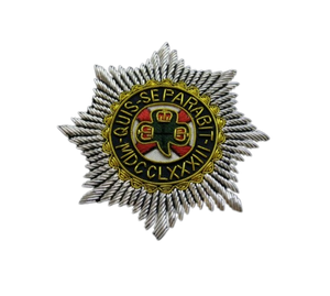 Badge de sécurité personnalisé par le fabricant, conception de logo gratuite - Product Image 5