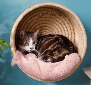 High Quality 2023 Nice Seagrass House for Pet Eco-Friendly Seagrass <b>Dog</b> Bed New Design From Vietnam 99GD - Product Image 3