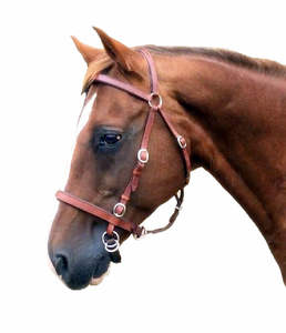 Cheval en cuir Stockhorse Bitless Bride Flash Noir Marron CHEVAL BRIDLE DELUXE ANATOMIQUE EN CUIR ÉLEVÉ - Product Image 2