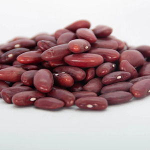 Frijoles rojos orgánicos de nueva cosecha de calidad superior Frijoles blancos/Frijoles moteados/Frijoles rojo oscuro - Product Image 3