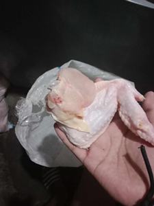 ปีกไก่แช่แข็งแบบ IQF ปีกไก่แช่แข็ง 3 ข้อ ฮาลาล - Product Image 3